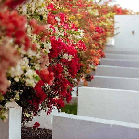 Apart Otel Mar Azul Playa 4*