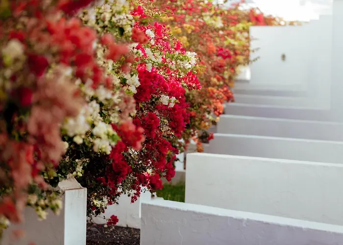 Aparthotel Mar Azul Playa 4*