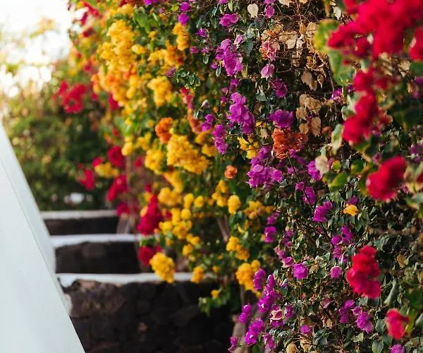 Apart-hotel Mar Azul Playa